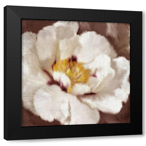Fall Blooms Black Modern Wood Framed Art Print by Allen, Kimberly