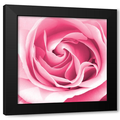 In Paris Hearts 2 Black Modern Wood Framed Art Print with Double Matting by Allen, Kimberly