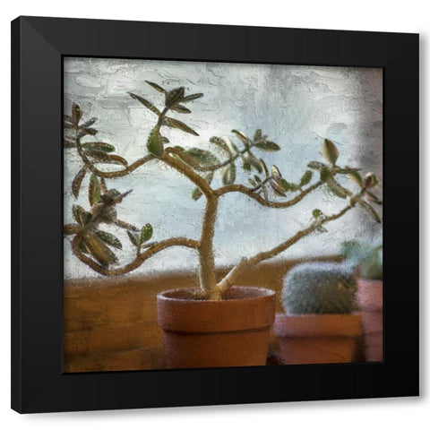 Window Planting Black Modern Wood Framed Art Print by Allen, Kimberly