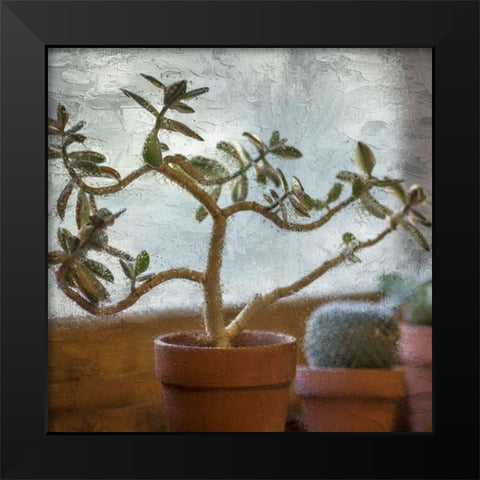 Window Planting Black Modern Wood Framed Art Print by Allen, Kimberly