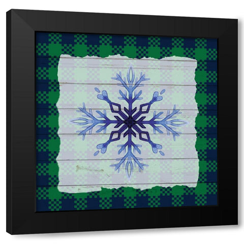 Snowflake Winter 1 Black Modern Wood Framed Art Print with Double Matting by Allen, Kimberly