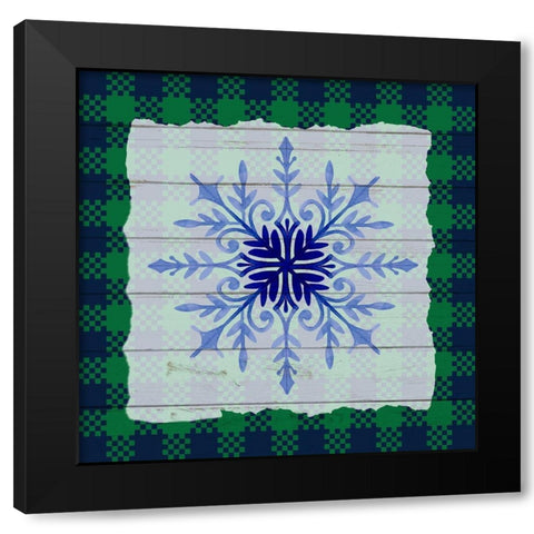 Snowflake Winter 3 Black Modern Wood Framed Art Print with Double Matting by Allen, Kimberly