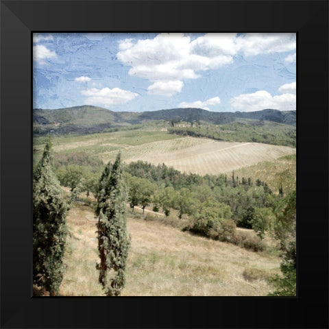 Tuscan Field Black Modern Wood Framed Art Print by Allen, Kimberly