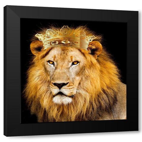 Do Not Fear 3 V2 Black Modern Wood Framed Art Print with Double Matting by Allen, Kimberly