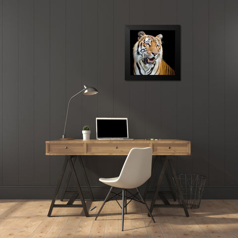 Do Not Fear 1 Black Modern Wood Framed Art Print by Allen, Kimberly