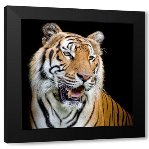 Do Not Fear 1 Black Modern Wood Framed Art Print by Allen, Kimberly