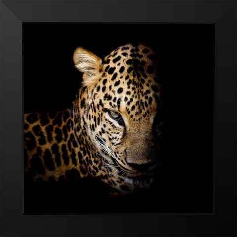 Faith Leopard 1 Black Modern Wood Framed Art Print by Allen, Kimberly