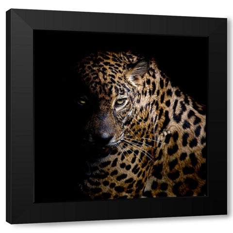 Faith Leopard 3 Black Modern Wood Framed Art Print with Double Matting by Allen, Kimberly
