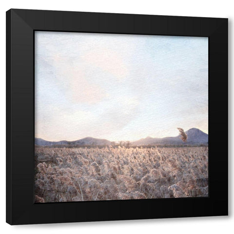Field Black Modern Wood Framed Art Print by Allen, Kimberly