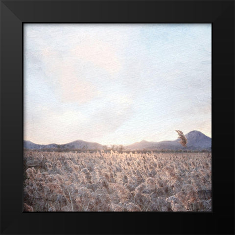 Field Black Modern Wood Framed Art Print by Allen, Kimberly