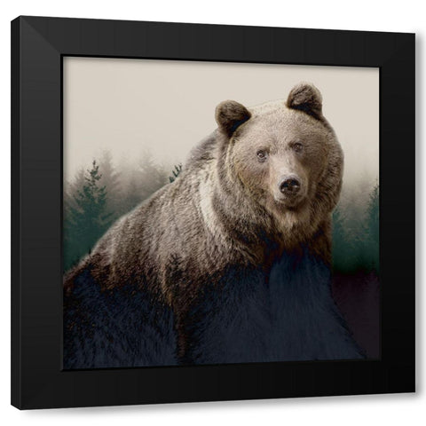 Forest Bear Black Modern Wood Framed Art Print with Double Matting by Allen, Kimberly