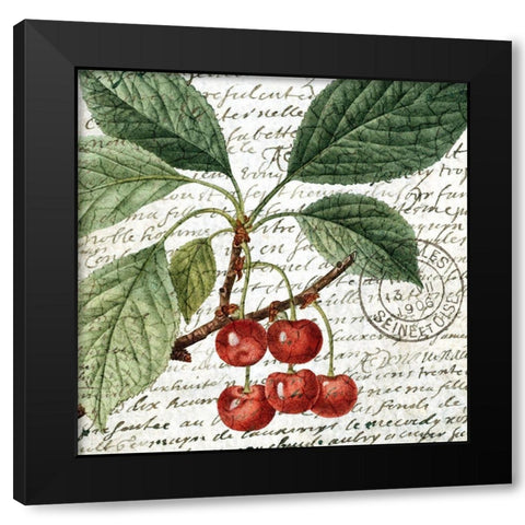 Fruit Picking 1 Black Modern Wood Framed Art Print by Allen, Kimberly
