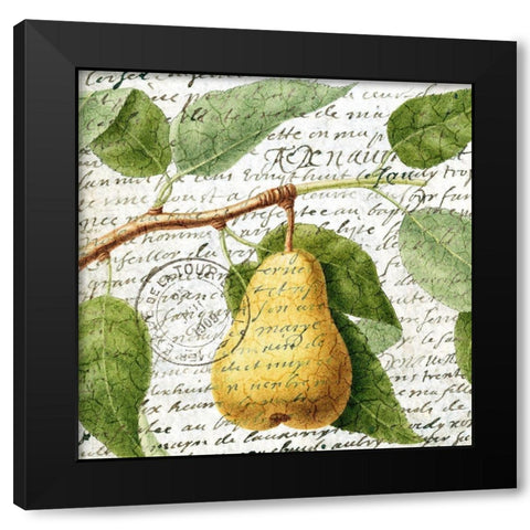 Fruit Picking 2 Black Modern Wood Framed Art Print by Allen, Kimberly