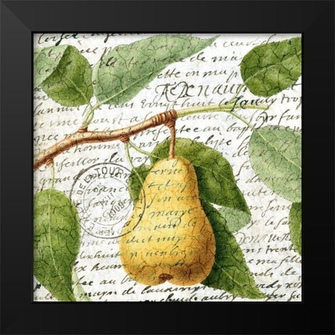 Fruit Picking 2 Black Modern Wood Framed Art Print by Allen, Kimberly