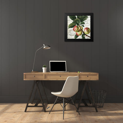 Fruit Picking 3 Black Modern Wood Framed Art Print by Allen, Kimberly