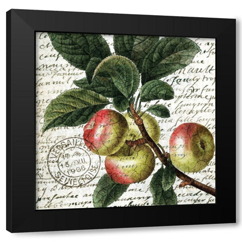 Fruit Picking 3 Black Modern Wood Framed Art Print by Allen, Kimberly