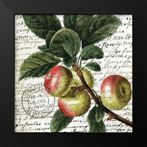 Fruit Picking 3 Black Modern Wood Framed Art Print by Allen, Kimberly