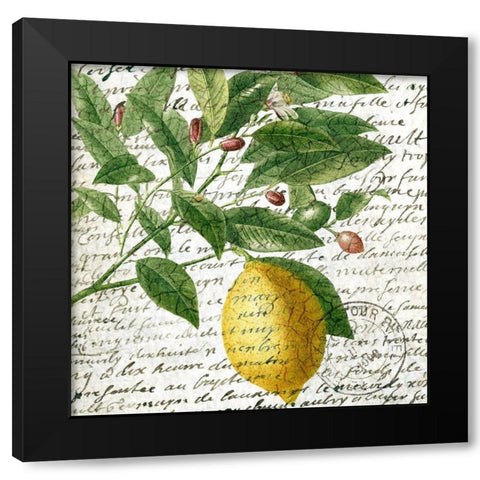 Fruit Picking 4 Black Modern Wood Framed Art Print by Allen, Kimberly