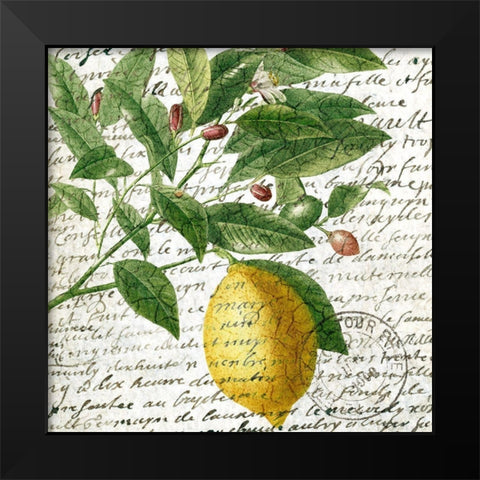 Fruit Picking 4 Black Modern Wood Framed Art Print by Allen, Kimberly