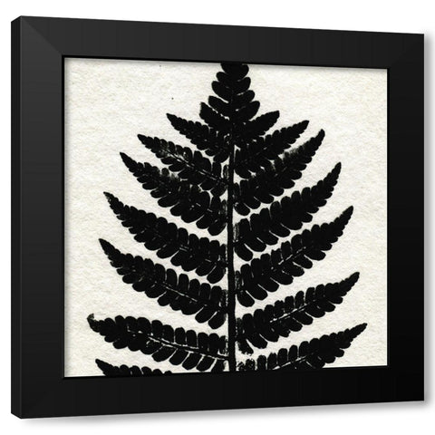 Pressed Fern 2 Black Modern Wood Framed Art Print with Double Matting by Allen, Kimberly