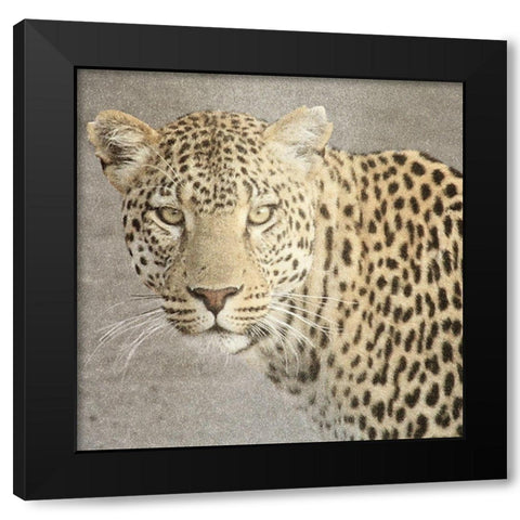 God Is Our Refuge Leopard v2 Black Modern Wood Framed Art Print by Allen, Kimberly