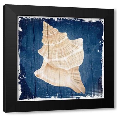 Coastal Shells 1 Black Modern Wood Framed Art Print with Double Matting by Allen, Kimberly
