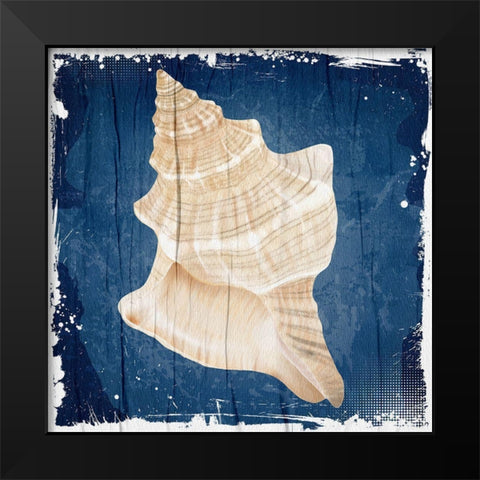 Coastal Shells 1 Black Modern Wood Framed Art Print by Allen, Kimberly