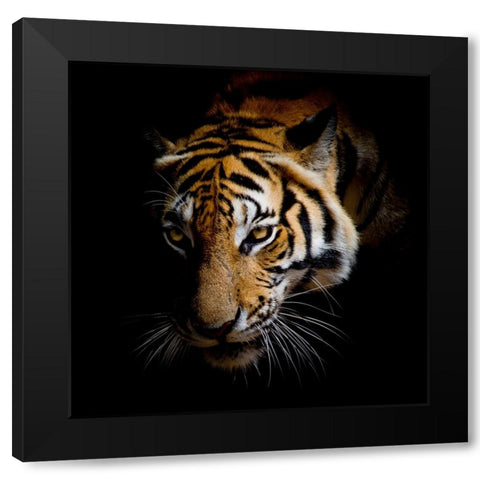 Harm Black Modern Wood Framed Art Print by Allen, Kimberly