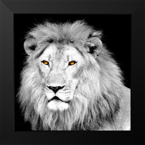 King Black Modern Wood Framed Art Print by Allen, Kimberly