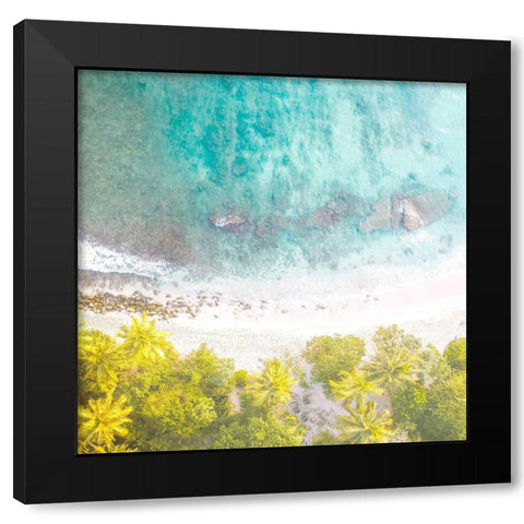 Tropic Aerial 2 Black Modern Wood Framed Art Print with Double Matting by Allen, Kimberly
