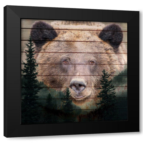 Gaze Black Modern Wood Framed Art Print with Double Matting by Allen, Kimberly
