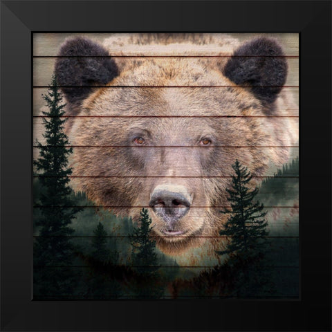 Gaze Black Modern Wood Framed Art Print by Allen, Kimberly