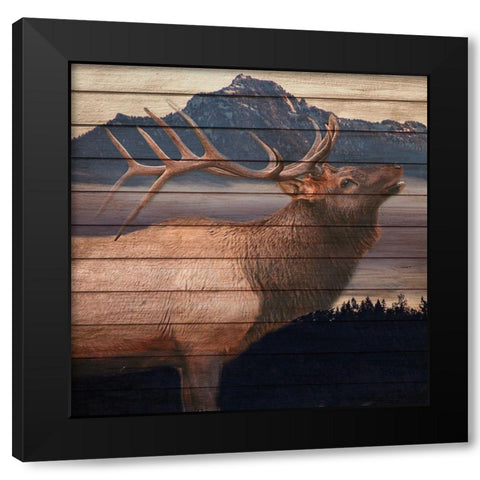 King Black Modern Wood Framed Art Print with Double Matting by Allen, Kimberly