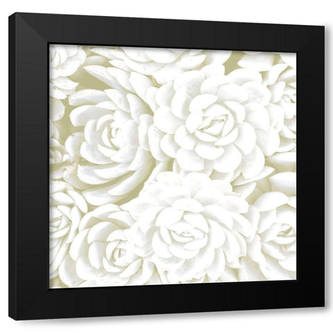 Succulent Sage 2 Black Modern Wood Framed Art Print with Double Matting by Allen, Kimberly