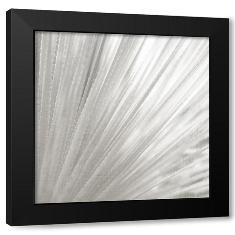 Silver Wash Black Modern Wood Framed Art Print by Allen, Kimberly