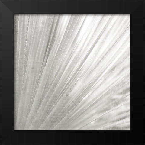 Silver Wash Black Modern Wood Framed Art Print by Allen, Kimberly