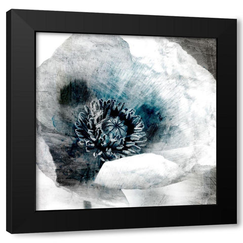 Poppy Center Black Modern Wood Framed Art Print by Allen, Kimberly