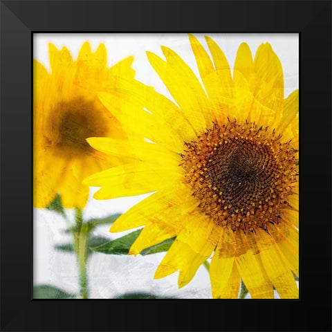 Sunnyside Black Modern Wood Framed Art Print by Allen, Kimberly