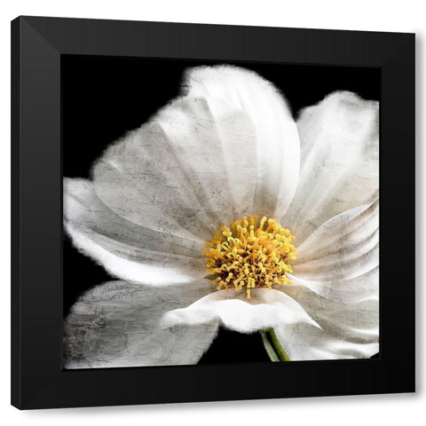 Yellow Center Black Modern Wood Framed Art Print with Double Matting by Allen, Kimberly