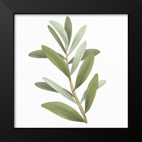 Olive Branch 1 Black Modern Wood Framed Art Print by Allen, Kimberly