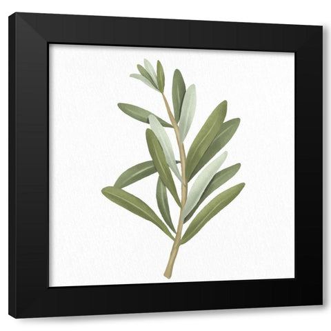 Olive Branch 2 Black Modern Wood Framed Art Print by Allen, Kimberly