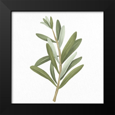 Olive Branch 2 Black Modern Wood Framed Art Print by Allen, Kimberly