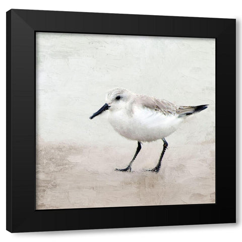 Sandpiper 2 Black Modern Wood Framed Art Print with Double Matting by Allen, Kimberly