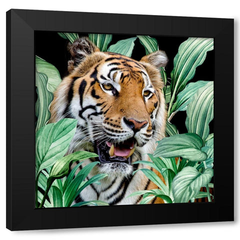 Jungle Tiger Black Modern Wood Framed Art Print by Allen, Kimberly