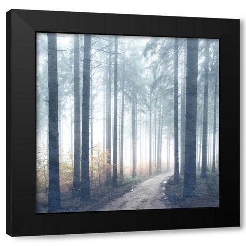 Forest Road Black Modern Wood Framed Art Print by Allen, Kimberly