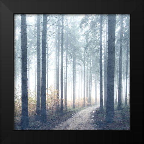 Forest Road Black Modern Wood Framed Art Print by Allen, Kimberly