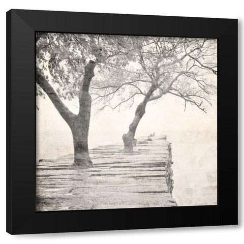 Tree Pier Black Modern Wood Framed Art Print by Allen, Kimberly