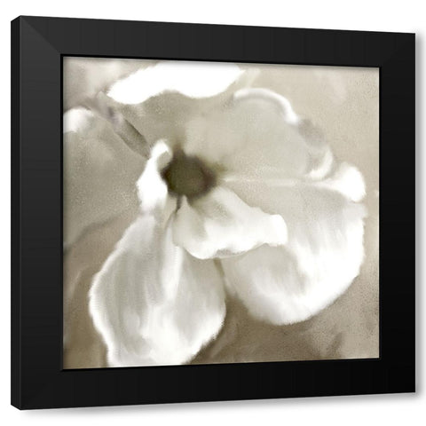 Magnolia Blooming Black Modern Wood Framed Art Print with Double Matting by Allen, Kimberly
