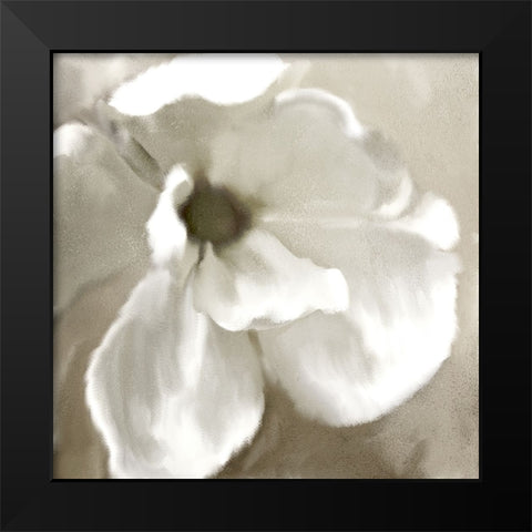 Magnolia Blooming Black Modern Wood Framed Art Print by Allen, Kimberly