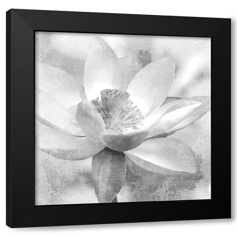 Lotus Black Modern Wood Framed Art Print with Double Matting by Allen, Kimberly
